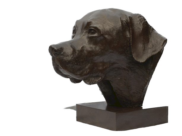 Sculpture de buste de labrador ; sculpteur Laurence Saunois