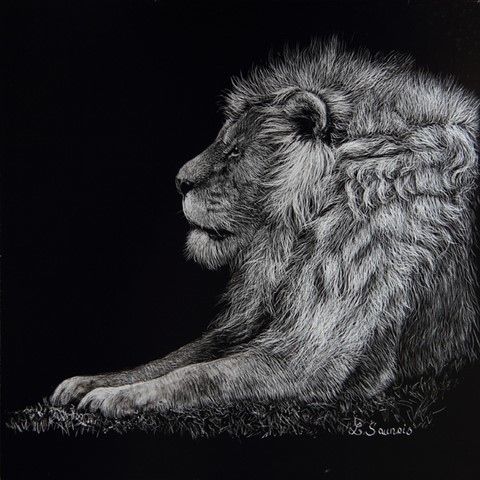 Scratchboard of tigers by Laurence Saunois, animal artist