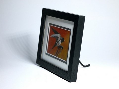 Framed miniature painting of swallow : wildlife artist Laurence Saunois