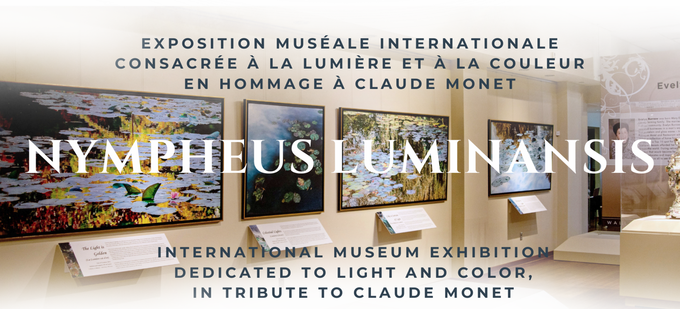 2025-2028-nympheus-luminansis-laurence-saunois-museum-international.png
