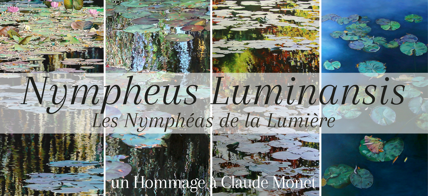 projet-nympheus-luminansis-laurence-saunois-2023-art.jpg