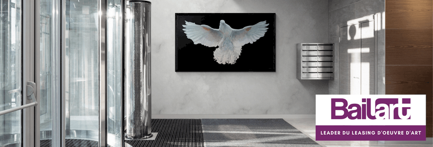 Peinture de pigeon blanc par la peintre animalier Laurence Saunois