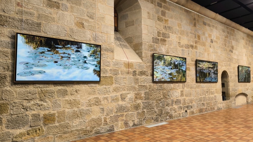Exposition Nympheus Luminansis - Figeac, artiste Laurence Saunois - tableaux