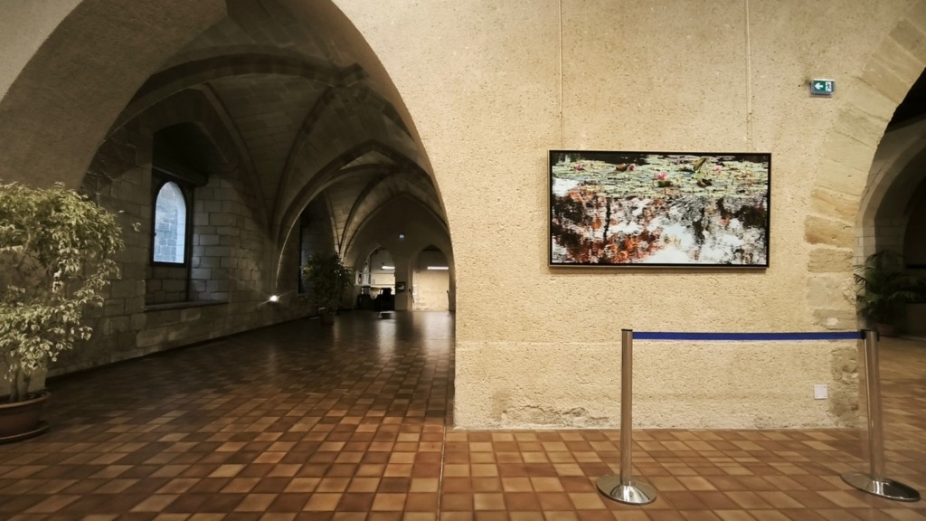 Exposition Nympheus Luminansis - Figeac, artiste Laurence Saunois - tableau et arches
