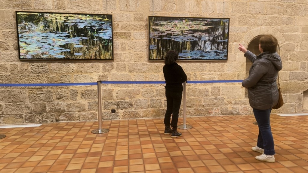 Exposition Nympheus Luminansis - Figeac, artiste Laurence Saunois - visiteurs