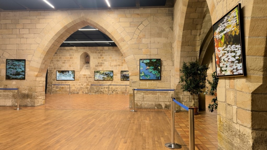 Exposition Nympheus Luminansis - Figeac, artiste Laurence Saunois - salle 1