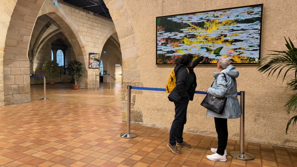 Exposition Nympheus Luminansis - Figeac, artiste Laurence Saunois - visiteuses