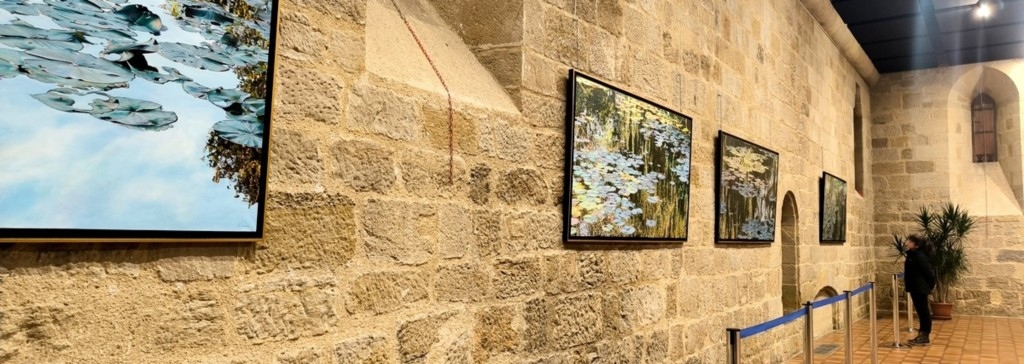 Avis des visiteurs sur l'exposition Nympheus Luminansis