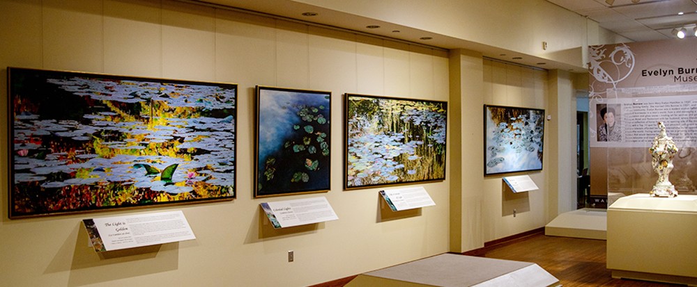EXHIBTION THE EVELYN BURROW MUSEUM - Nympheus Luminansis - Laurence Saunois, Artiste
