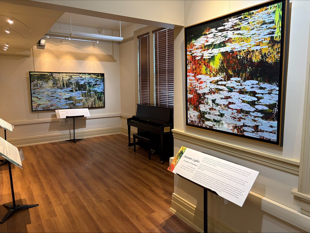 Exhibition Nympheus Luminansis - HISTORIC CITY HALL ARTS & CULTURAL CENTER - Louisiana #1