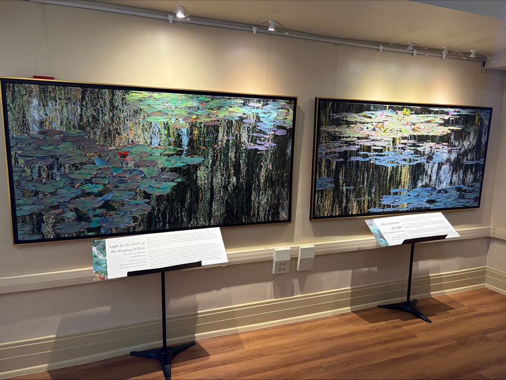 Exhibition Nympheus Luminansis - HISTORIC CITY HALL ARTS & CULTURAL CENTER - Louisiana #2