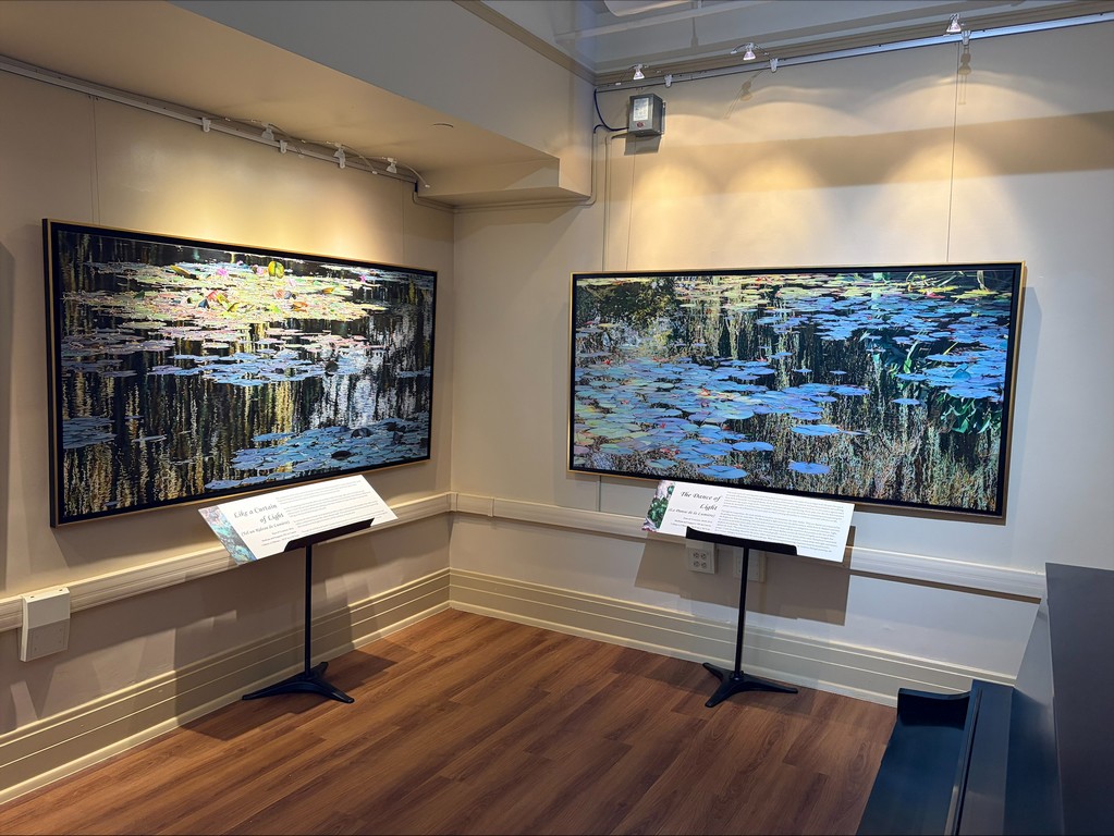 Exhibition Nympheus Luminansis - HISTORIC CITY HALL ARTS & CULTURAL CENTER - Louisiana #3