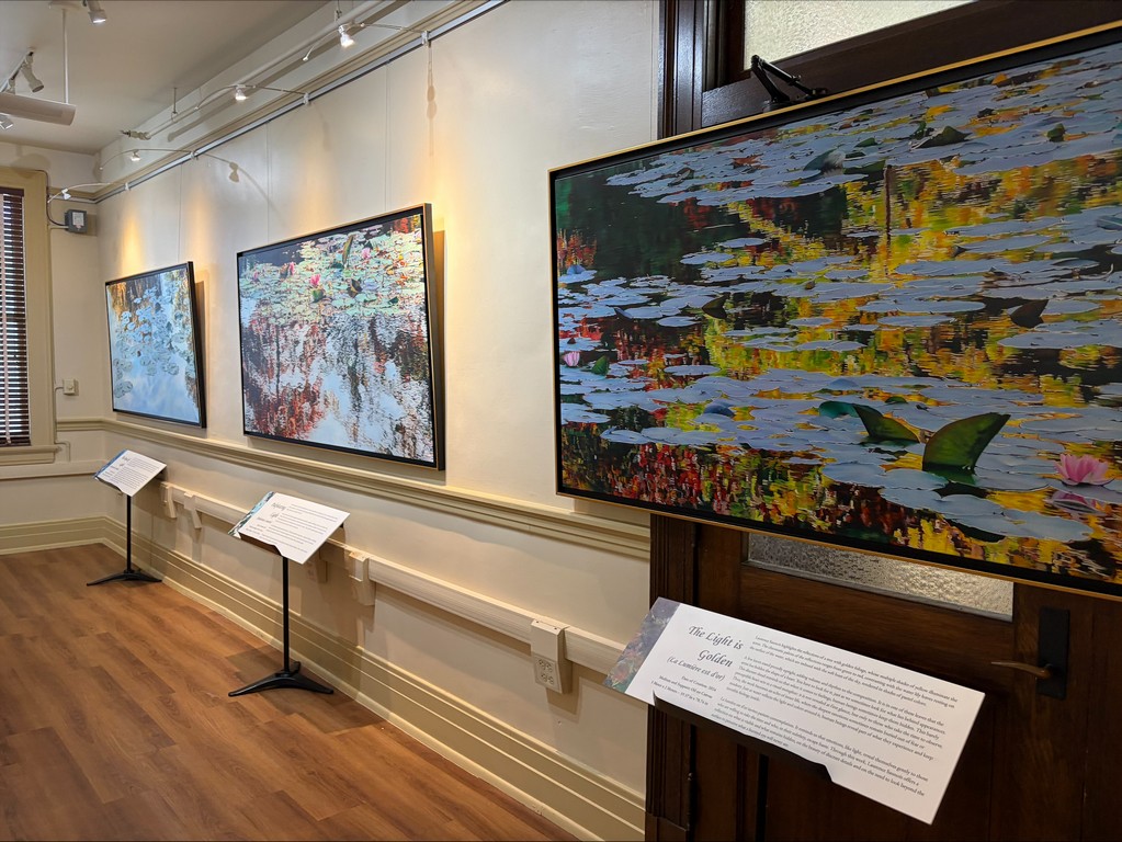 Exhibition Nympheus Luminansis - HISTORIC CITY HALL ARTS & CULTURAL CENTER - Louisiana #4