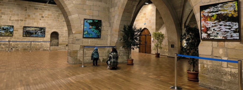 Avis visiteurs sur l'exposition Nympheus Luminansis