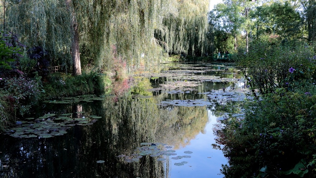 Jardin de Claude Monet et son bassin de Nymphéas - Laurence Saunois, artiste