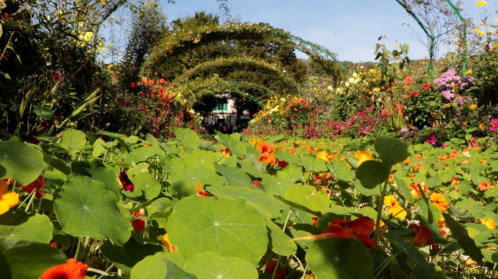 Jardin et maison de Claude Monet à Giverny - Laurence Saunois, Artiste