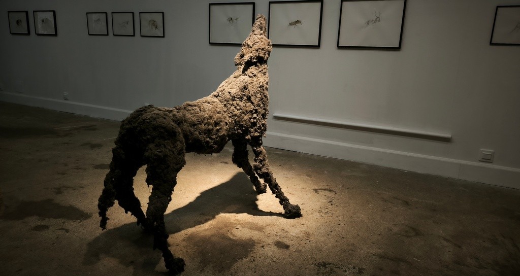 Loup de poussière de Lionel Sabatté, rencontre Laurence Saunois, artiste animalier