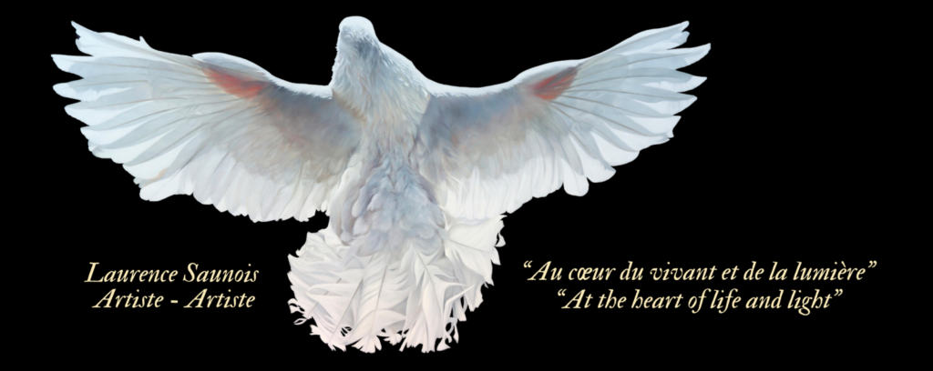 Tableau de colombe blanche par Laurence Saunis, artiste peintre