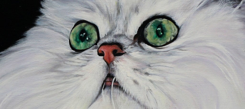 Close-up detail of the white Persian cat oil painting Leo by wildlife artist Laurence Saunois