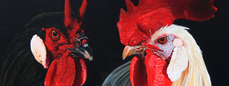 Détails d'une peinture de coqs par l'artiste animalier Laurence Saunois