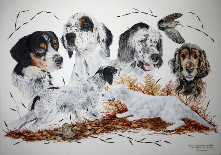 Dessin de chiens et de bécasses à la plume du peintre par la peintre animalier Laurence Saunois
