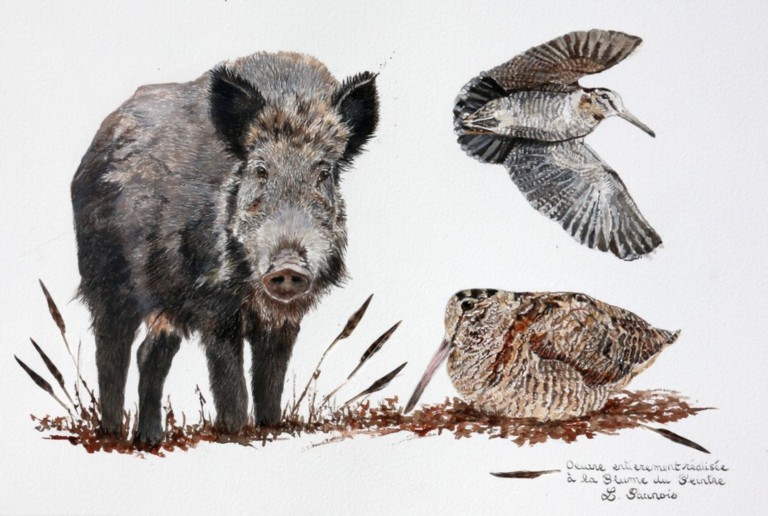 Artist-feather drawing of a wild boar and woodcocks by wildlife artist Laurence Saunois