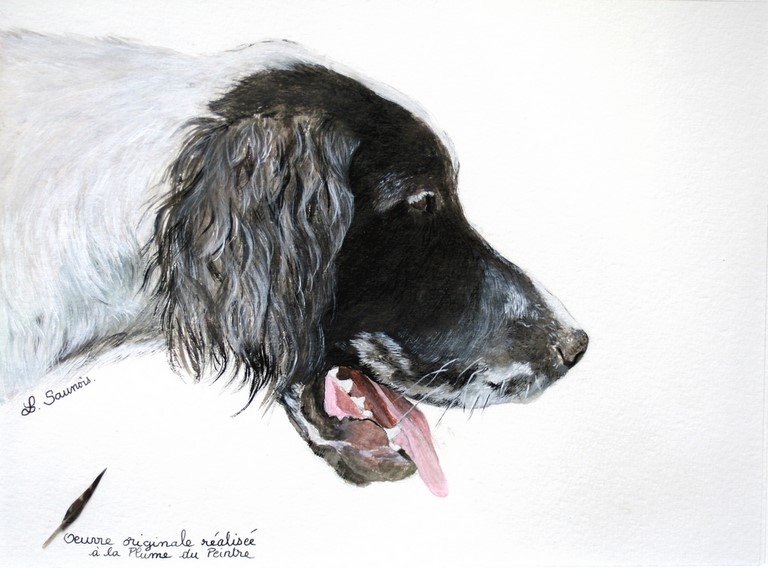 Portrait de chien réalisé à la plume du peintre par la peintre animalier Laurence Saunois