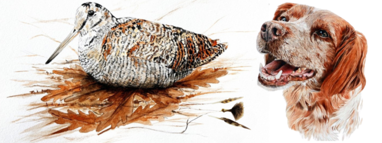 Dessins à la Plume du Peintre par l'artiste animalier Laurence Saunois