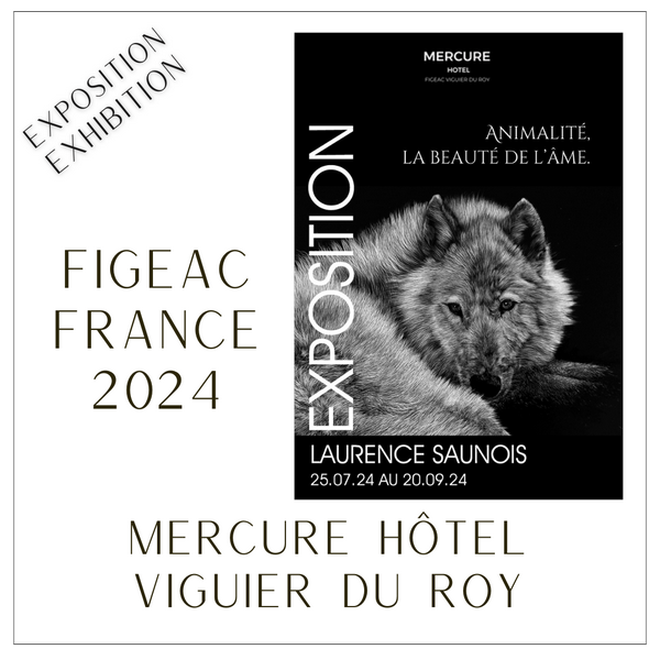 Exposition au Viguier du Roy à Figeac - Artiste Laurence Saunois