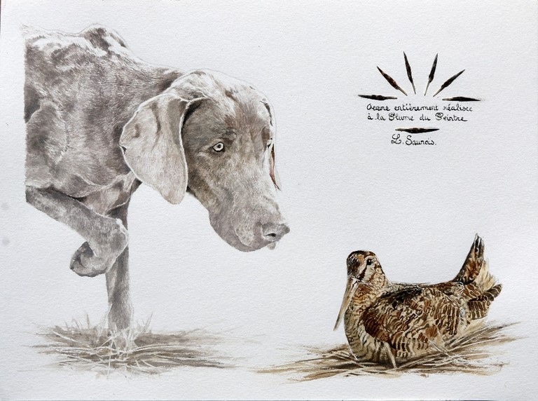 Click to enlarge Portrait realized with a woodcock feather (the pen of the painter) by Laurence Saunois, Animal artist