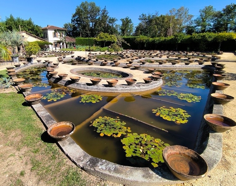 Le jardin de Latour Marliac est partenaire de l'exposition Nympheus Lumnansis, les nymphéas de la Lumière par Laurence Saunois