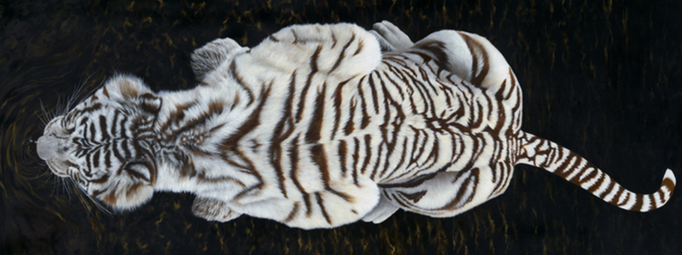 Peinture de tigre blanc par l'artiste Laurence Saunois