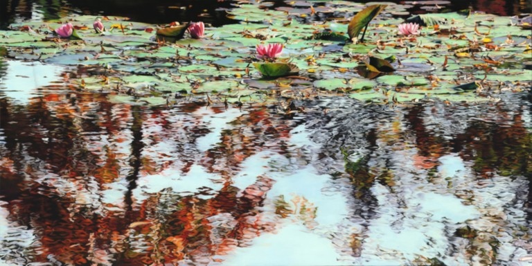 Peinture "Nympheus Luminansis, Palpitantes Lumières par Laurence Saunois, artiste peintre