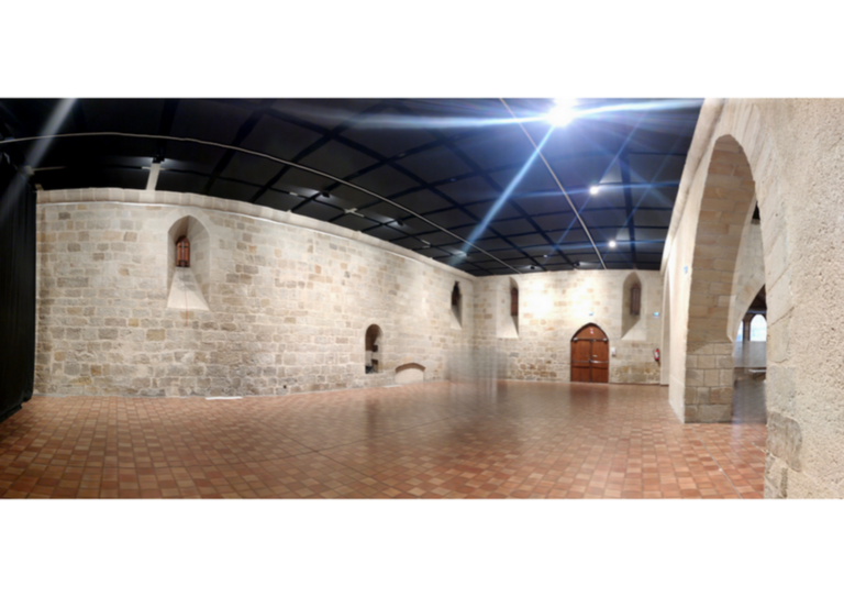 Palais Balène à Figeac - Nympheus Luminansis - exposition 2025
