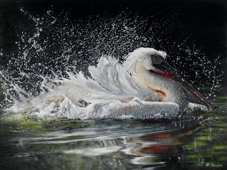 Pelican painting by Laurence Saunois, ANIMAL ARTIST