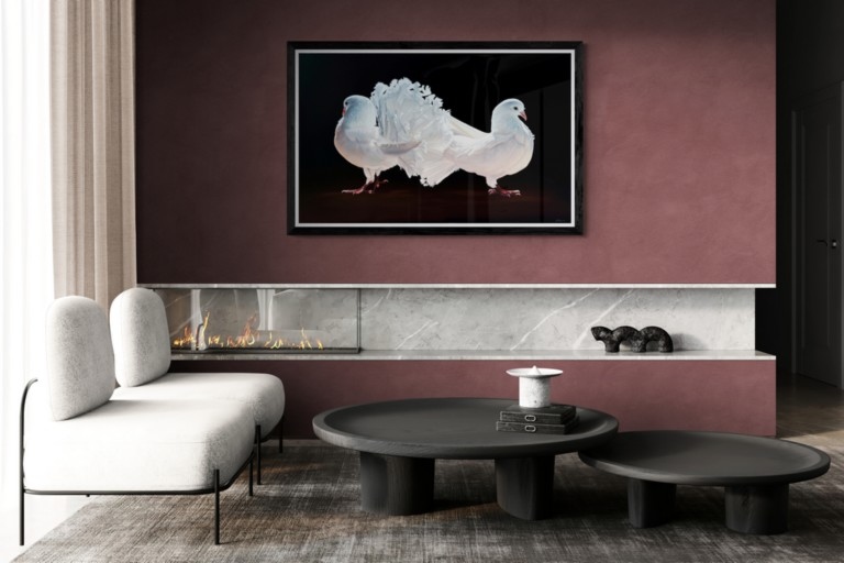 Tableau de pigeons blancs en situation par Laurence Saunois, peintre animalier