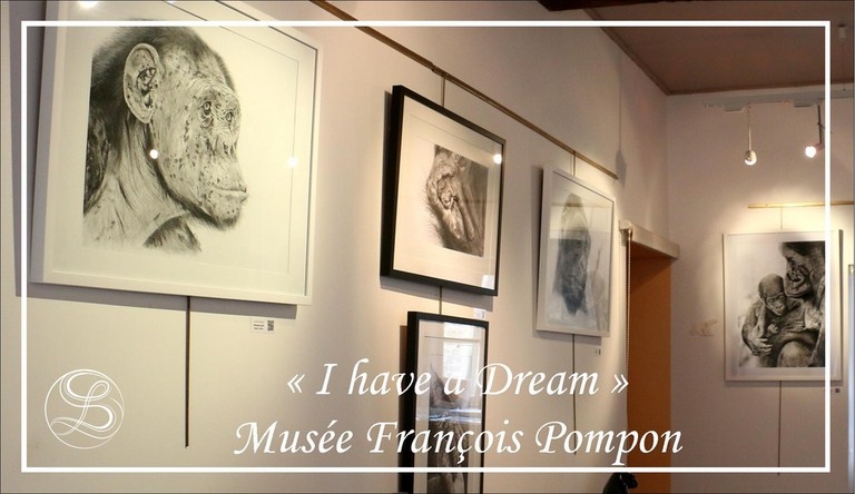Exposition "I have a dream" avec Laurence Saunois, artiste peintre animalier
