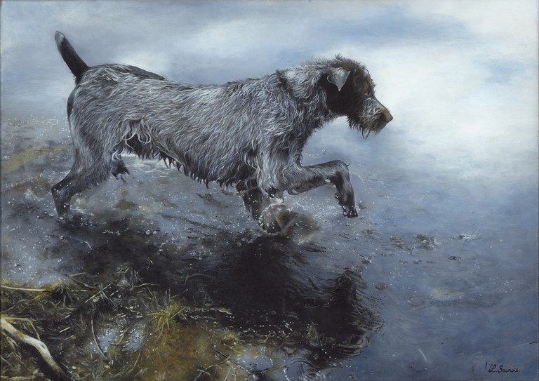 Painting of Griffon Korthal Hunting by Laurence Saunois, animal artist