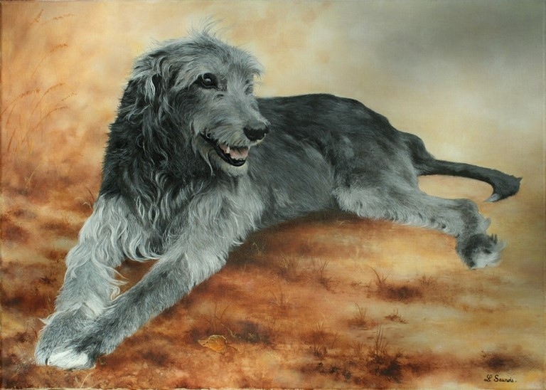 Original painting of Irish Greyhound by Laurence Saunois, animal artist