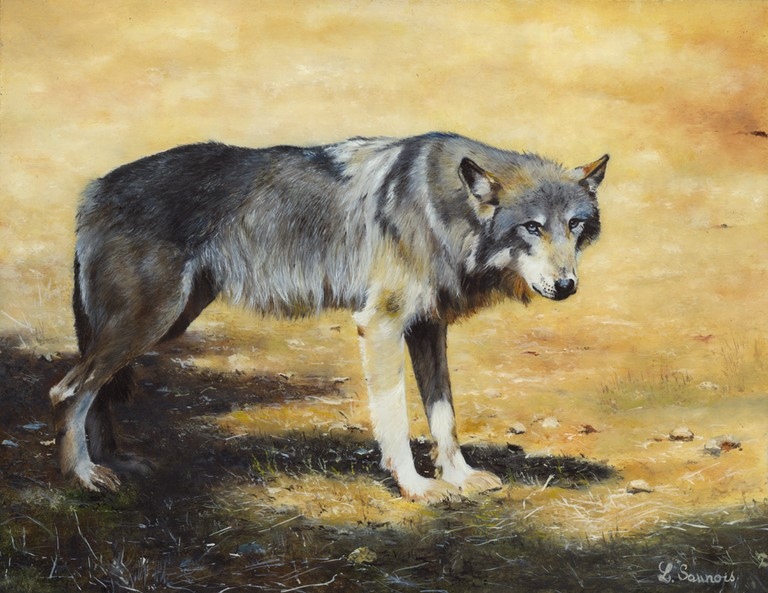 Peinture de loup par Laurence Saunois, artiste peintre animalier
