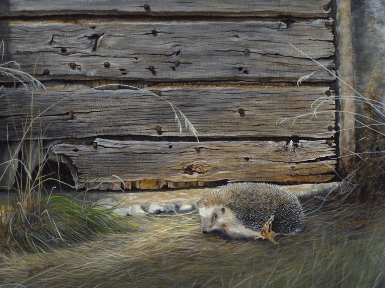 Peinture de hérisson par Laurence Saunois, artiste peintre animalier