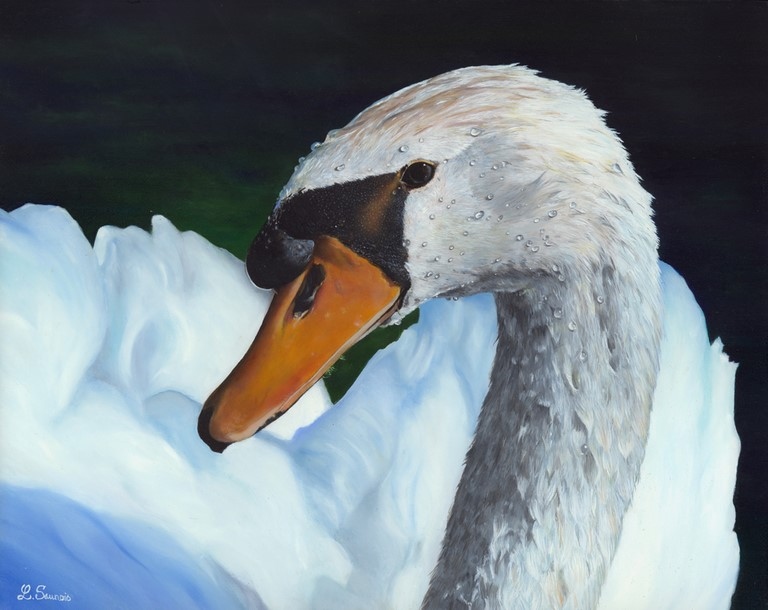 Bird painting by Laurence Saunois, wildlife artist