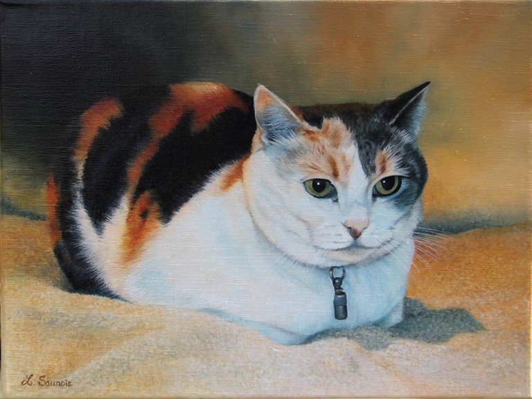 Tableau de chat sur une couverture par l'artiste Laurence Saunois, peintre animalier