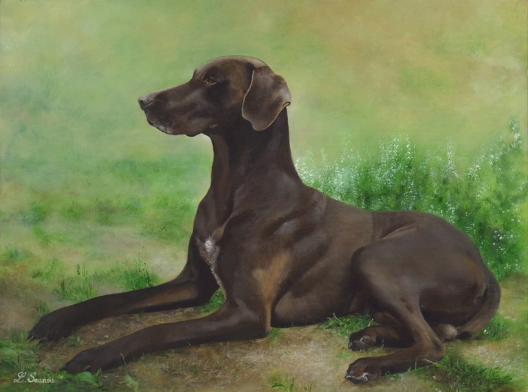 German Pointer dog painting by the painter Laurence Saunois