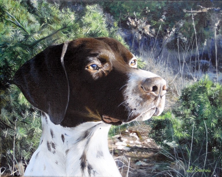 Painting of a hunting dog by the artist Laurence Saunois, animal painter
