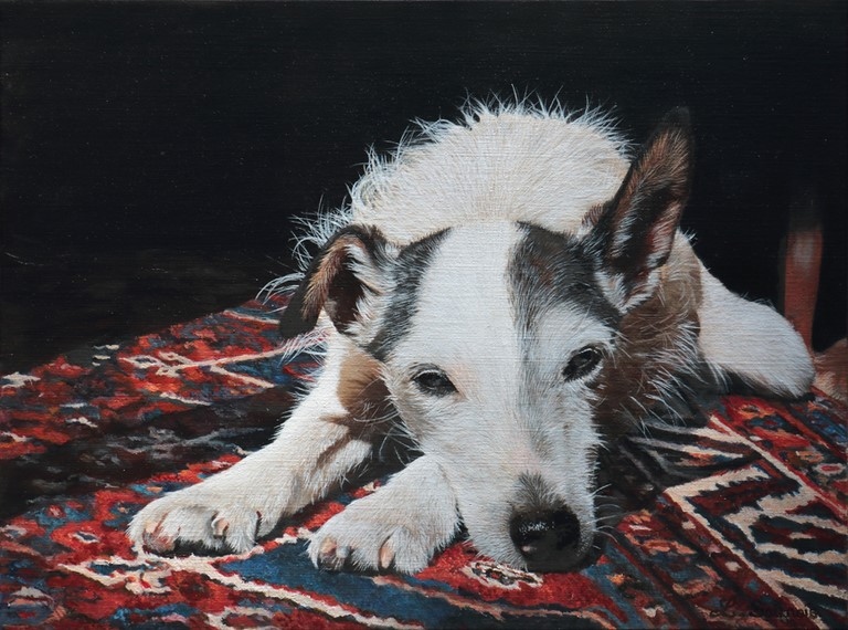Painting of dog on a blanket by Laurence Saunois, artiste peintre animalier
