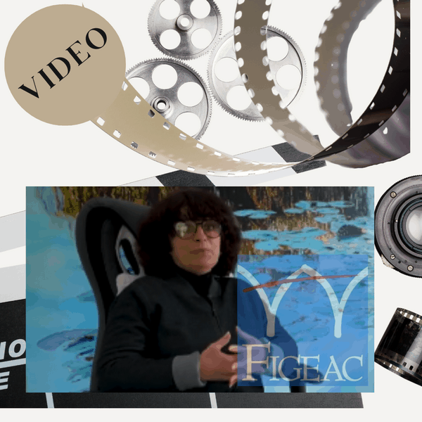 Vidéo de la Ville de Figeac - Nympheus Luminansis & Laurence Saunois