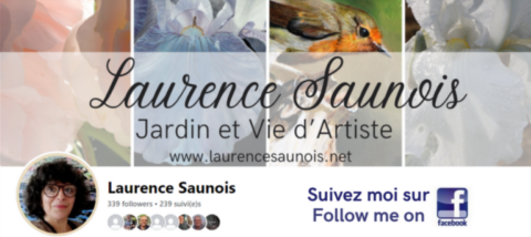 Facebook de Laurence Saunois, artiste peintre, jardin d'artiste