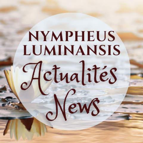 Actualités Nympheus Luminansis, les nymphéas de la Lumière par Laurence Saunois
