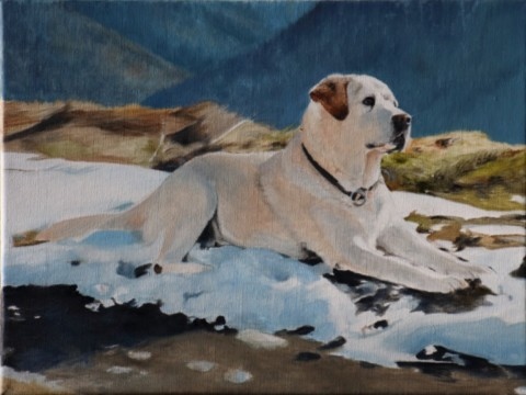 art-process-labrador-retriever-oil